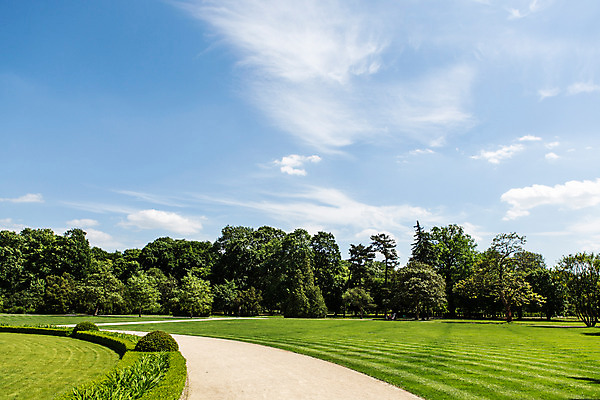 포토 JPG 주간 나무 식물 구름 해외풍경 공원 유럽 자연 하늘 풍경 사람없음 야외 동유럽 폴란드 바르샤바 와지엔키공원 국내포토 자연요소 해외 공공시설 나라 생태계 파일형식