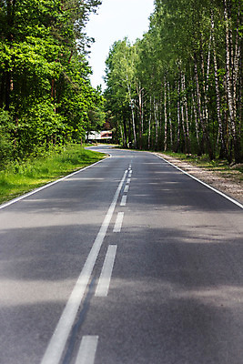 포토 JPG 주간 나무 식물 해외풍경 유럽 도로 길 풍경 사람없음 야외 동유럽 폴란드 바르샤바 국내포토 자연요소 해외 나라 교통시설 파일형식