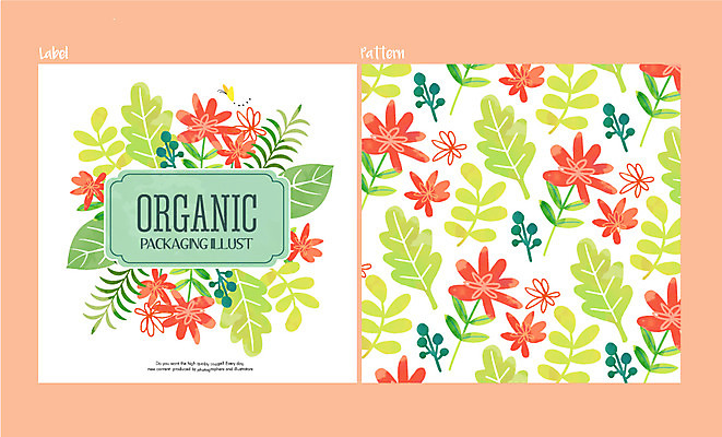 식물 꽃 백그라운드 패턴 일러스트 나뭇잎 사람없음 라벨 유기농 국내일러스트 AI파일 웰빙 잎 무늬 프레임 파일형식 벡터