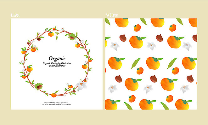 식물 꽃 백그라운드 패턴 과일 일러스트 감 사람없음 라벨 견과류 밤 유기농 국내일러스트 AI파일 웰빙 무늬 프레임 파일형식 벡터