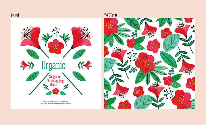 식물 꽃 백그라운드 패턴 일러스트 나뭇잎 사람없음 라벨 유기농 국내일러스트 AI파일 웰빙 잎 무늬 프레임 파일형식 벡터