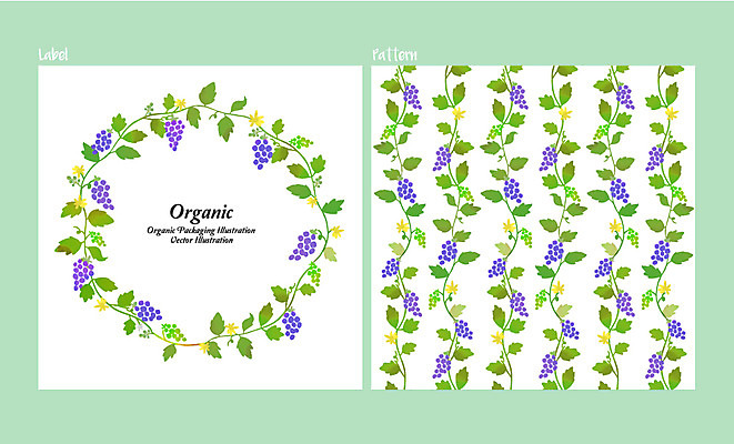 줄기 백그라운드 패턴 과일 일러스트 포도 사람없음 라벨 유기농 국내일러스트 AI파일 식물 웰빙 무늬 프레임 파일형식 벡터