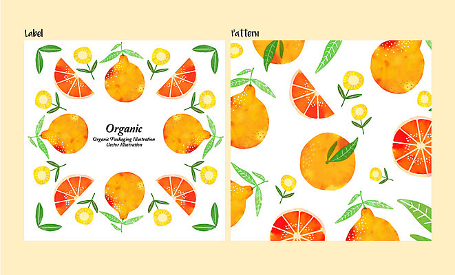 식물 꽃 백그라운드 패턴 과일 일러스트 나뭇잎 사람없음 라벨 유기농 한라봉 국내일러스트 AI파일 웰빙 잎 무늬 프레임 파일형식 벡터