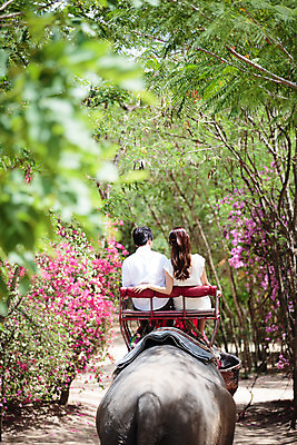 포토 JPG 주간 해외기획촬영 한마리 라이프스타일 커플 여자 남자 문화 커플라이프 여행 태국 코끼리 사람 앉기 동양인 상반신 성인 야외 두명 뒷모습 30대 트래킹 한국인 추억 즐거움 코끼리트래킹 2015년태국 장년만 성인만 국내포토 자연요소 1 감정 아시아 뷰포인트 컨셉 포유류 관계 모션 레저 인종 생활 장년 파일형식