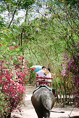 포토 JPG 주간 해외기획촬영 한마리 라이프스타일 커플 여자 남자 문화 커플라이프 여행 태국 코끼리 미소 사람 앉기 동양인 상반신 성인 야외 두명 뒷모습 30대 트래킹 한국인 뒤돌아보기 추억 즐거움 손인사 코끼리트래킹 2015년태국 장년만 성인만 국내포토 자연요소 1 감정 아시아 뷰포인트 컨셉 포유류 관계 모션 레저 표정 인종 생활 장년 인사 파일형식