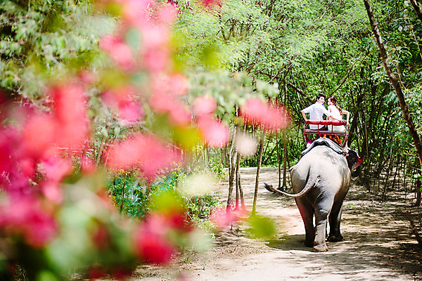 포토 JPG 주간 해외기획촬영 한마리 라이프스타일 커플 여자 남자 문화 커플라이프 여행 태국 코끼리 사람 앉기 동양인 상반신 성인 야외 두명 뒷모습 30대 트래킹 한국인 뒤돌아보기 추억 즐거움 코끼리트래킹 2015년태국 장년만 성인만 국내포토 자연요소 1 감정 아시아 뷰포인트 컨셉 포유류 관계 모션 레저 인종 생활 장년 파일형식