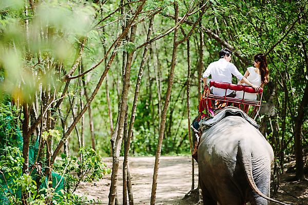 포토 JPG 주간 해외기획촬영 한마리 라이프스타일 커플 여자 남자 문화 커플라이프 여행 태국 코끼리 대화 사람 앉기 동양인 상반신 성인 야외 두명 뒷모습 30대 마주보기 트래킹 한국인 추억 즐거움 코끼리트래킹 2015년태국 장년만 성인만 국내포토 자연요소 1 감정 아시아 뷰포인트 컨셉 포유류 관계 모션 레저 말하기 인종 생활 장년 파일형식