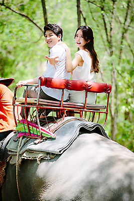 포토 JPG 주간 해외기획촬영 한마리 라이프스타일 커플 여자 남자 문화 커플라이프 여행 태국 코끼리 미소 사람 앉기 동양인 상반신 성인 야외 뒷모습 세명 30대 트래킹 한국인 뒤돌아보기 추억 즐거움 코끼리트래킹 2015년태국 장년만 성인만 어깨에손 국내포토 자연요소 1 감정 아시아 뷰포인트 컨셉 포유류 관계 모션 레저 표정 인종 생활 장년 파일형식