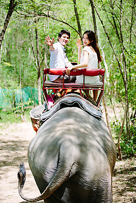 포토 JPG 주간 해외기획촬영 한마리 라이프스타일 커플 여자 남자 문화 커플라이프 여행 태국 코끼리 미소 사람 앉기 동양인 상반신 성인 야외 두명 뒷모습 30대 트래킹 한국인 뒤돌아보기 추억 즐거움 손인사 코끼리트래킹 2015년태국 장년만 성인만 국내포토 자연요소 1 감정 아시아 뷰포인트 컨셉 포유류 관계 모션 레저 표정 인종 생활 장년 인사 파일형식