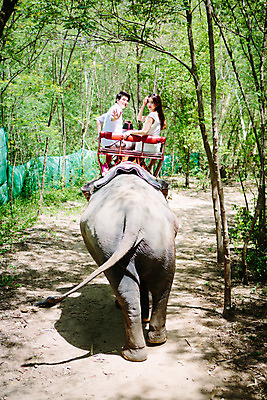 포토 JPG 주간 해외기획촬영 한마리 라이프스타일 커플 여자 남자 문화 커플라이프 여행 태국 코끼리 미소 사람 앉기 동양인 상반신 성인 야외 두명 뒷모습 30대 트래킹 한국인 뒤돌아보기 추억 즐거움 손인사 코끼리트래킹 2015년태국 장년만 성인만 국내포토 자연요소 1 감정 아시아 뷰포인트 컨셉 포유류 관계 모션 레저 표정 인종 생활 장년 인사 파일형식