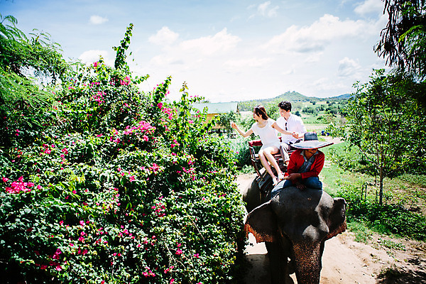 포토 JPG 주간 전신 외국인 해외기획촬영 한마리 라이프스타일 커플 응시 여자 남자 문화 커플라이프 여행 태국 코끼리 사람 앉기 동양인 손짓 상반신 성인 야외 앞모습 세명 30대 트래킹 한국인 추억 즐거움 코끼리트래킹 2015년태국 장년만 성인만 국내포토 자연요소 1 시선 감정 아시아 뷰포인트 컨셉 포유류 관계 모션 레저 인종 생활 장년 파일형식