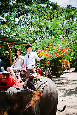 포토 JPG 주간 전신 외국인 식물 해외기획촬영 한마리 라이프스타일 커플 응시 여자 남자 꽃 문화 커플라이프 여행 태국 코끼리 미소 사람 앉기 동양인 성인 야외 세명 30대 트래킹 만지기 한국인 나뭇가지 추억 즐거움 코끼리트래킹 2015년태국 장년만 성인만 국내포토 자연요소 나무 1 시선 감정 아시아 컨셉 포유류 관계 모션 레저 표정 인종 생활 장년 파일형식