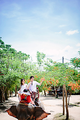 포토 JPG 주간 외국인 나무 식물 해외기획촬영 한마리 라이프스타일 커플 응시 여자 남자 꽃 문화 커플라이프 여행 태국 코끼리 미소 사람 앉기 동양인 상반신 성인 야외 앞모습 세명 30대 트래킹 만지기 한국인 나뭇가지 추억 즐거움 코끼리트래킹 2015년태국 장년만 성인만 국내포토 자연요소 1 시선 감정 아시아 뷰포인트 컨셉 포유류 관계 모션 레저 표정 인종 생활 장년 파일형식