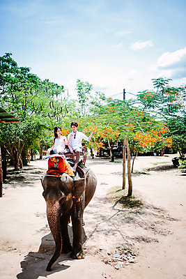포토 JPG 주간 전신 외국인 나무 식물 해외기획촬영 한마리 라이프스타일 커플 여자 남자 꽃 문화 커플라이프 여행 태국 코끼리 미소 사람 앉기 동양인 상반신 성인 야외 앞모습 세명 30대 트래킹 만지기 한국인 나뭇가지 추억 즐거움 코끼리트래킹 2015년태국 장년만 성인만 국내포토 자연요소 1 감정 아시아 뷰포인트 컨셉 포유류 관계 모션 레저 표정 인종 생활 장년 파일형식
