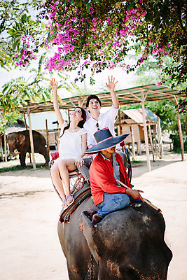 포토 JPG 주간 전신 외국인 식물 해외기획촬영 한마리 라이프스타일 커플 여자 남자 꽃 문화 커플라이프 여행 태국 코끼리 미소 사람 앉기 동양인 상반신 성인 야외 앞모습 세명 30대 손들기 트래킹 한국인 올려보기 나뭇가지 추억 즐거움 코끼리트래킹 2015년태국 장년만 성인만 국내포토 자연요소 나무 1 감정 아시아 뷰포인트 컨셉 포유류 관계 모션 레저 표정 인종 생활 장년 파일형식