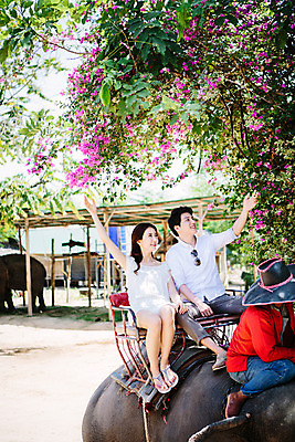 포토 JPG 주간 전신 외국인 식물 해외기획촬영 한마리 라이프스타일 커플 여자 남자 꽃 문화 커플라이프 여행 태국 코끼리 미소 사람 앉기 동양인 성인 야외 앞모습 세명 30대 손들기 트래킹 한국인 올려보기 나뭇가지 추억 즐거움 코끼리트래킹 2015년태국 장년만 성인만 국내포토 자연요소 나무 1 감정 아시아 뷰포인트 컨셉 포유류 관계 모션 레저 표정 인종 생활 장년 파일형식