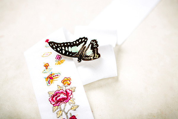 포토 JPG 스튜디오촬영 문양 배너 명절 배경화면 나비 곤충 백그라운드 실내 사람없음 전통문양 추석 오브젝트 자수 플랫레이 국내포토 동물 전통 기념일 내부 플랫 파일형식