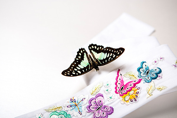 포토 JPG 스튜디오촬영 문양 배너 명절 배경화면 나비 곤충 백그라운드 실내 사람없음 전통문양 추석 오브젝트 자수 플랫레이 국내포토 동물 전통 기념일 내부 플랫 파일형식