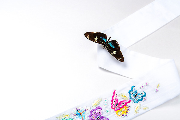 포토 JPG 스튜디오촬영 문양 배너 명절 배경화면 나비 곤충 백그라운드 실내 사람없음 전통문양 추석 오브젝트 자수 플랫레이 국내포토 동물 전통 기념일 내부 플랫 파일형식