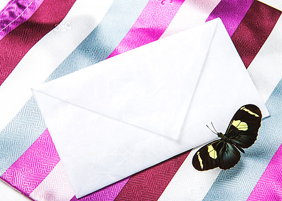 포토 JPG 스튜디오촬영 배너 명절 배경화면 나비 곤충 백그라운드 편지봉투 실내 사람없음 전통문양 추석 오브젝트 플랫레이 국내포토 동물 전통 문양 기념일 봉투 내부 플랫 편지 파일형식