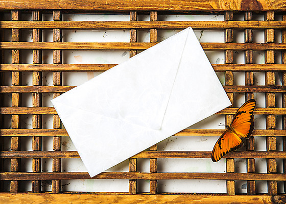 포토 JPG 스튜디오촬영 배너 명절 배경화면 나비 곤충 백그라운드 편지봉투 사각프레임 광고판 실내 사람없음 추석 한지 오브젝트 문살 플랫레이 국내포토 동물 전통 기념일 종이 봉투 프레임 알림판 내부 사각형 플랫 편지 판 파일형식