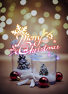 PSD 나무 편집 편집이미지 리본 크리스마스 사람없음 장식 크리스마스트리 모형 미니어처 보케 디지털아트 레터링 이미지편집 식물 기념일 파일형식