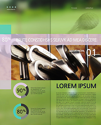 PSD 템플릿 편집 표지디자인 북디자인 출판디자인 내지 리플렛 백그라운드 골프 2단접지 북커버 그래프 골프공 건강 팜플렛 사람없음 골프채 이미지템플릿 공 골프용품 구기 파일형식