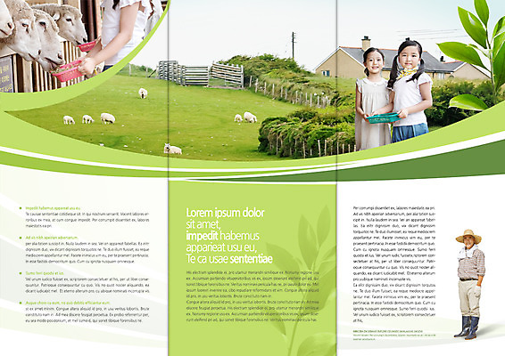 전신 PSD 템플릿 편집 표지디자인 북디자인 출판디자인 여자 남자 내지 어린이 리플렛 백그라운드 북커버 3단접지 자연 서기 사람 동양인 팜플렛 잔디 상반신 성인 세명 목장 한국인 양 체험 이미지템플릿 식물 컨셉 포유류 모션 인종 생태계 파일형식