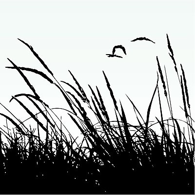 EPS 해외이미지 식물 실루엣 호수 백그라운드 잎 꽃무늬 일러스트 자연 조류 갈대 물 파란색 강 반사 검은색 내추럴 해외202004 해외일러스트 자연요소 동물 꽃 컬러 무늬 촬영기법 생태계 파일형식 벡터 이미지허브