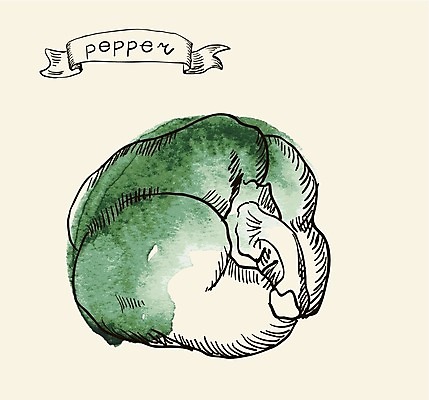 EPS 해외이미지 음식 백그라운드 농업 다이어트 채소 일러스트 재료 자연 고추 파프리카 건강 요리 초록색 여름 주방 식당 식사 샐러드 수확 성장 종 흰색 신선 달콤 맛 낙서 스케치 자르기 먹기 메뉴 그림 유기농 반쪽 날것 후추 내추럴 고립 채식주의자 해외202004 해외일러스트 웰빙 계절 산업 컬러 컨셉 모션 미술 상점 향신료 생태계 채식 파일형식 벡터 이미지허브