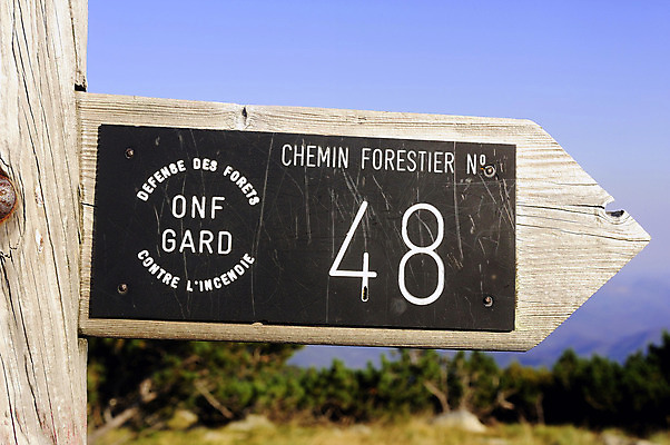 포토 JPG 해외이미지 나무 공원 유럽 여행 자국 자연 산 숙이기 사람 풍경 사람없음 야외 목재 초록색 일출 프랑스 업무 판넬 보호 숲 청소 사인 커뮤니티 내추럴 돌봄 생태학 전국 해외202004 해외포토 식물 공공시설 교육 나라 컬러 포즈 컨셉 재료 모션 노을 작업 생태계 파일형식 이미지허브