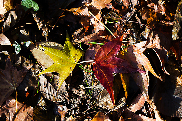 포토 JPG 해외이미지 디자인 백그라운드 패턴 벽지 표면 추상 사람없음 우주 거친 질감 그런지 해외202004 해외포토 무늬 파일형식 이미지허브