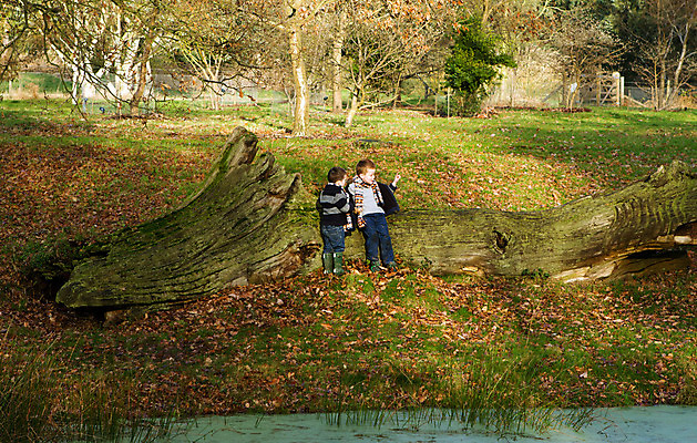 포토 JPG 해외이미지 나무 백인 커플 공원 남자 행복 어린이 2 겨울 가족 자연 놀이 함께함 사랑 미소 사람 소년 야외 두명 목재 초록색 우정 가을 시골 숲 연도 통나무 장면 돌봄 옛날 해외202004 해외포토 서양인 식물 계절 공공시설 감정 컬러 컨셉 재료 관계 모션 표정 친구 생태계 파일형식 이미지허브