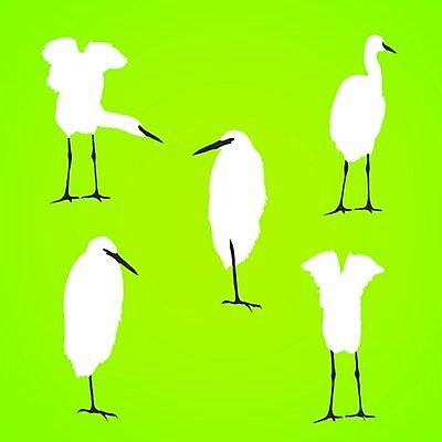 EPS 해외이미지 클립아트 동물 디자인 실루엣 야생동물 날개 일러스트 자연 조류 그래픽 계산서 내추럴 황새 해외202004 해외일러스트 촬영기법 생태계 파일형식 벡터 이미지허브