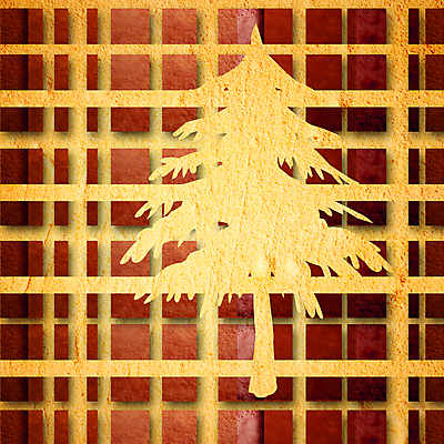 포토 JPG 해외이미지 나무 전통 디자인 계절 종이 백그라운드 컨셉 크리스마스장식 크리스마스 벽지 추상 휴가 새해 기념 아이디어 프레임 이벤트 사람없음 장식 크리스마스트리 산타클로스 우주 공백 덮개 축하 인사 신용카드 메시지 질감 심플 엽서 초대 전나무 판지 그런지 노엘 카피스페이스 해외202004 해외포토 식물 기념일 무늬 금융 뚜껑 예절 편지 파일형식 이미지허브