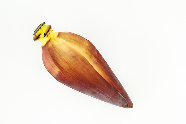 포토 JPG 해외이미지 음식 채소 건강 사람없음 빨간색 노란색 보라색 신선 개화 맛 싱글 흰배경 날것 내추럴 식용 억울 비건 해외202004 해외포토 꽃 감정 컬러 백그라운드 컨셉 흰색 채식주의자 파일형식 이미지허브