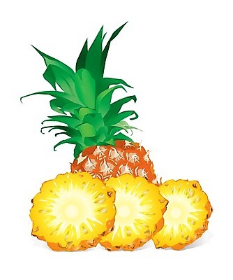 EPS 해외이미지 식물 라이프스타일 계절 음식 줄기 조각 잎 다이어트 과일 일러스트 재료 부분 자연 디저트 건강 컬러풀 노란색 식사 활발 에너지 흰색 신선 맛 먹기 파인애플 오브젝트 상쾌 그림 유기농 날것 칼로리 고립 숙성 채식주의자 해외202004 해외일러스트 웰빙 감정 컬러 컨셉 모션 생활 열대과일 생태계 채식 파일형식 벡터 이미지허브