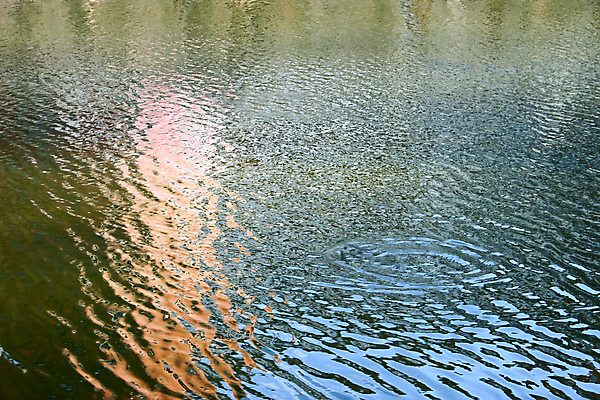 포토 JPG 해외이미지 호수 물결 파도 백그라운드 패턴 자연 표면 바람 날씨 추상 휴식 그림자 사람없음 야외 빨간색 초록색 물 파란색 빛 햇빛 반사 우주 젖음 저수지 연못 반지 액체 순수 질감 영토 지역 깊이 효과 해외202004 해외포토 자연요소 바다 컬러 컨셉 무늬 장신구 태양 생태계 파일형식 이미지허브