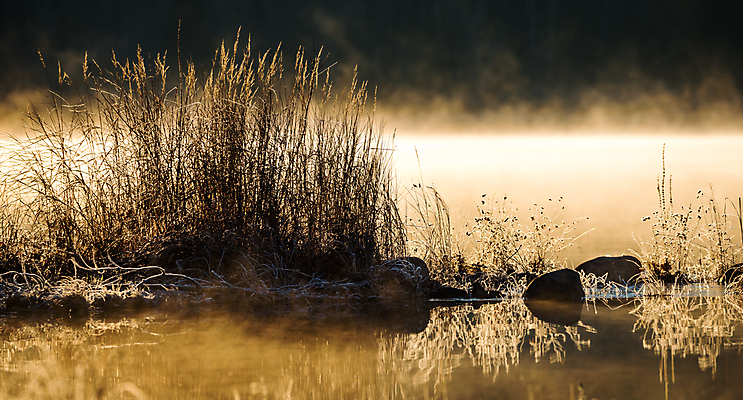포토 JPG 해외이미지 호수 자연 표면 사람없음 물 빛 햇빛 반사 맑음 침묵 추위 안개 신선 잡초 소프트포커스 시원함 서리 암초 결정체 내추럴 뿌연 해외202004 해외포토 자연요소 식물 날씨 촬영기법 태양 소리 생태계 파일형식 이미지허브