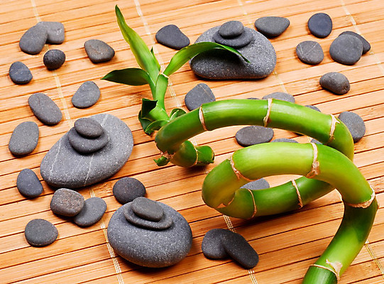 포토 JPG 해외이미지 나무 식물 선 줄기 잎 휴식 동양인 사람없음 장식 초록색 물 빛 평화 우주 정원 스파 봄 거품 성장 조약돌 흰색 물방울 신선 숲 대나무 순수 명상 테라피 내추럴 고립 해외202004 해외포토 자연요소 계절 컬러 컨셉 인종 뷰티 돌_바위 파일형식 이미지허브