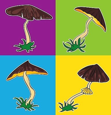 EPS 해외이미지 디자인 계절 음식 일러스트 자연 이끼 요리 정원 식사 버섯 습기 가을 선택 숲 위험 만화 먹기 그림 유기농 고립 곰팡이 독버섯 캡모자 해외202004 해외일러스트 모자 웰빙 컨셉 모션 생태계 파일형식 벡터 잡화 이미지허브