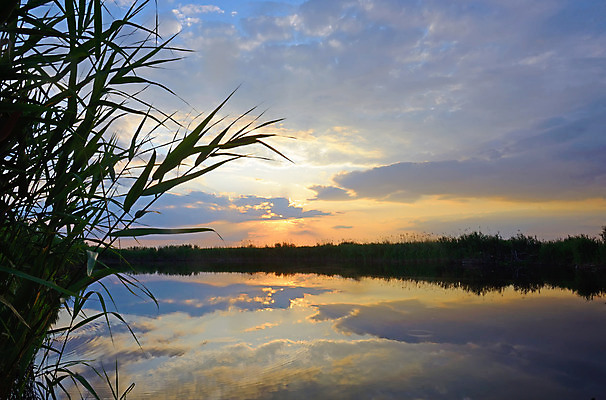 포토 JPG 해외이미지 나무 식물 동물 구름 계절 공원 호수 자연 조류 하늘 아침 갈대 풍경 사람없음 야외 물 여름 파란색 빛 강 컬러풀 태양 반사 평화 일출 일몰 봄 새벽 추위 도시 저녁 장면 고립 넘어짐 다뉴브강 해외202004 해외포토 주간 자연요소 공공시설 컬러 컨셉 모션 노을 야간 생태계 파일형식 이미지허브