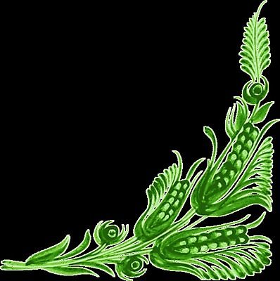 EPS 해외이미지 디자인 꽃 백그라운드 잎 일러스트 수채화 미술 사람없음 소용돌이 모서리 손그림 비네팅 해외202004 해외일러스트 식물 문화예술 촬영기법 회오리 파일형식 벡터 이미지허브