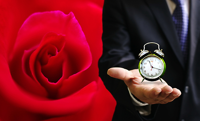 포토 JPG 해외이미지 손 디자인 꽃 시계 꽃다발 컨셉 아침 추상 사랑 한명 세트 장미 금속 소리 자명종 수확 골동품 종 공구 반지 잡기 시간 클래식 달콤 속도 주기 복고 투자 공포 쇼 부드러움 아날로그 공유 타이머 경보 마감 분 옛날 카운트다운 투자자 스타일 해외202004 해외포토 주간 식물 1 감정 무늬 농업 비즈니스 장신구 모션 재질 사람 신체부위 알람 도구 감각 맛 파일형식 이미지허브