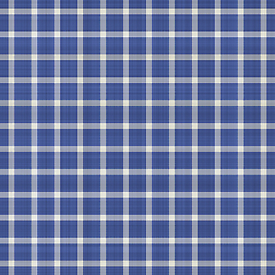 JPG 해외이미지 패턴 일러스트 사람없음 패턴백그라운드 체크무늬 깅엄 해외202004 해외일러스트 백그라운드 무늬 파일형식 이미지허브