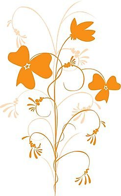 EPS 해외이미지 식물 계절 꽃 백그라운드 꽃무늬 오렌지 일러스트 자연 선물 정원 맑음 축제 봄 흰색 원예 고립 이국적 해외202004 해외일러스트 컬러 무늬 과일 날씨 취미 생태계 파일형식 벡터이미지허브 