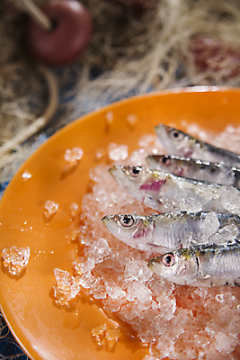 포토 JPG 해외이미지 접시 식재료 실내 사람없음 얼음 신선 멸치 앤초비 해외202004 해외포토 자연요소 식기 어류 내부 파일형식 이미지허브