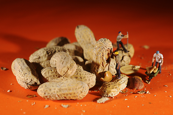 포토 JPG 해외이미지 직업 음식 컨셉 부분 노동자 미술 사람 사람없음 펼침 껍질 플라스틱 오브젝트 눈금 땅콩 거짓 특별함 해외202004 해외포토 모션 재질 문화예술 견과류 파일형식 이미지허브