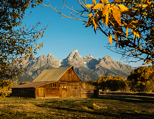 포토 JPG 해외이미지 나무 상징 날씨 산 풍경 사람없음 야외 일출 시골 외양간 와이오밍 해외202004 해외포토 식물 노을 파일형식 이미지허브
