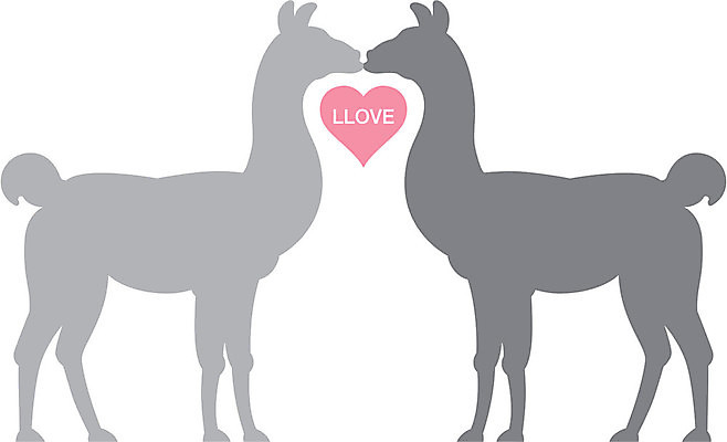 EPS 해외이미지 동물 커플 실루엣 분홍색 결혼 일러스트 결혼식 키스 발렌타인데이 사랑 농장 손상 하트 신용카드 유머 달콤 모피 초대 알파카 해외202004 해외일러스트 모양 감정 컬러 컨셉 농업 관계 데이이벤트 촬영기법 이벤트 금융 맛 애정표현 파일형식 벡터 이미지허브